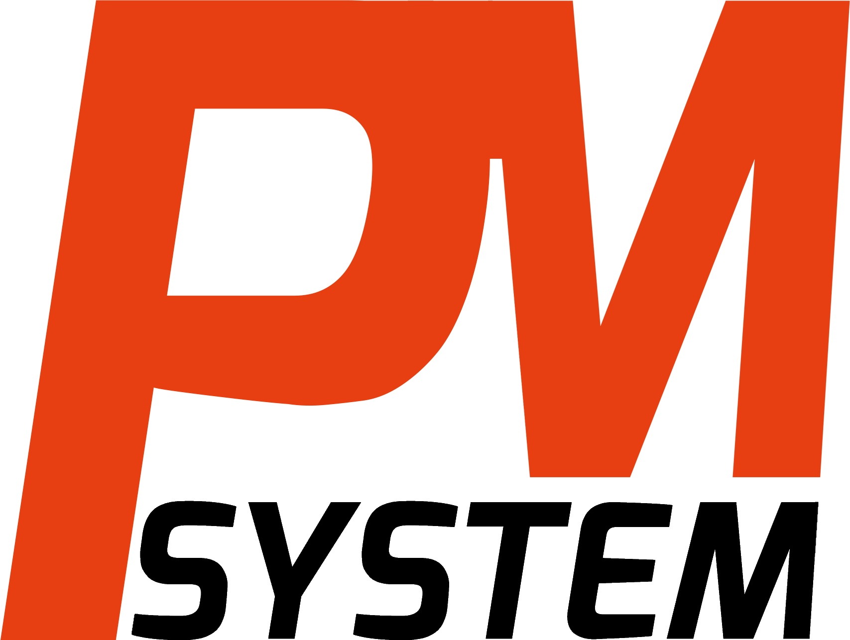 PM SYSTEM